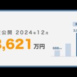 【資産公開_2024年12月】少ないお金でのんびり暮らしているチラマネTVの投資実績　#音声なし